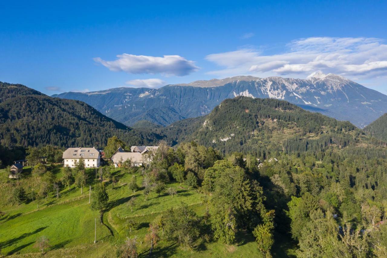 Apartment Krnicar Zgornje Gorje Εξωτερικό φωτογραφία