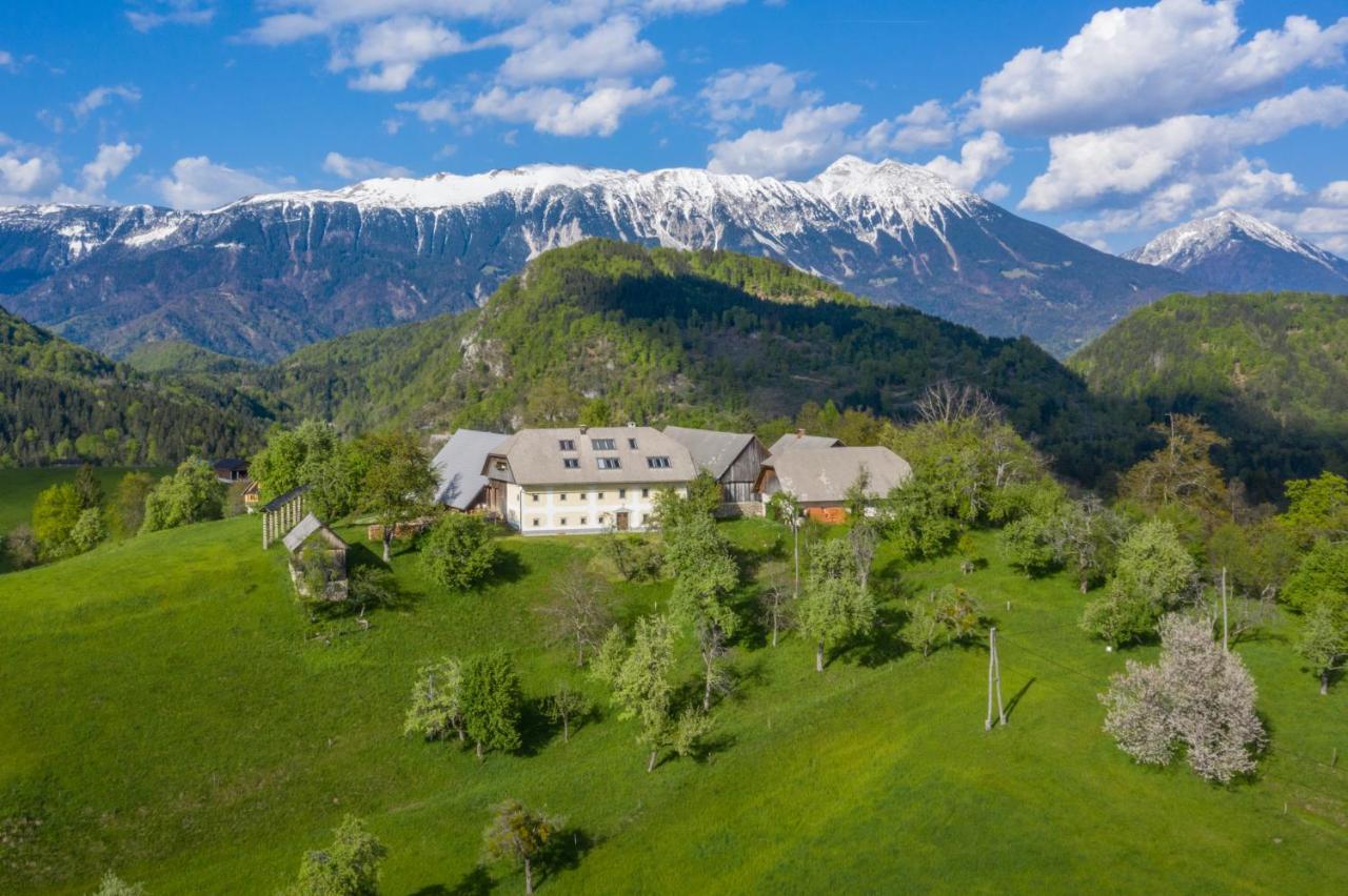 Apartment Krnicar Zgornje Gorje Εξωτερικό φωτογραφία