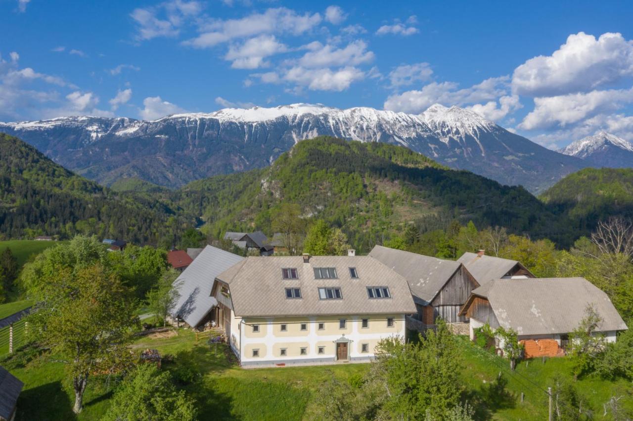 Apartment Krnicar Zgornje Gorje Εξωτερικό φωτογραφία